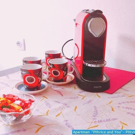 Apartman "Plitvice And You" Plitvička Jezera Eksteriør bilde