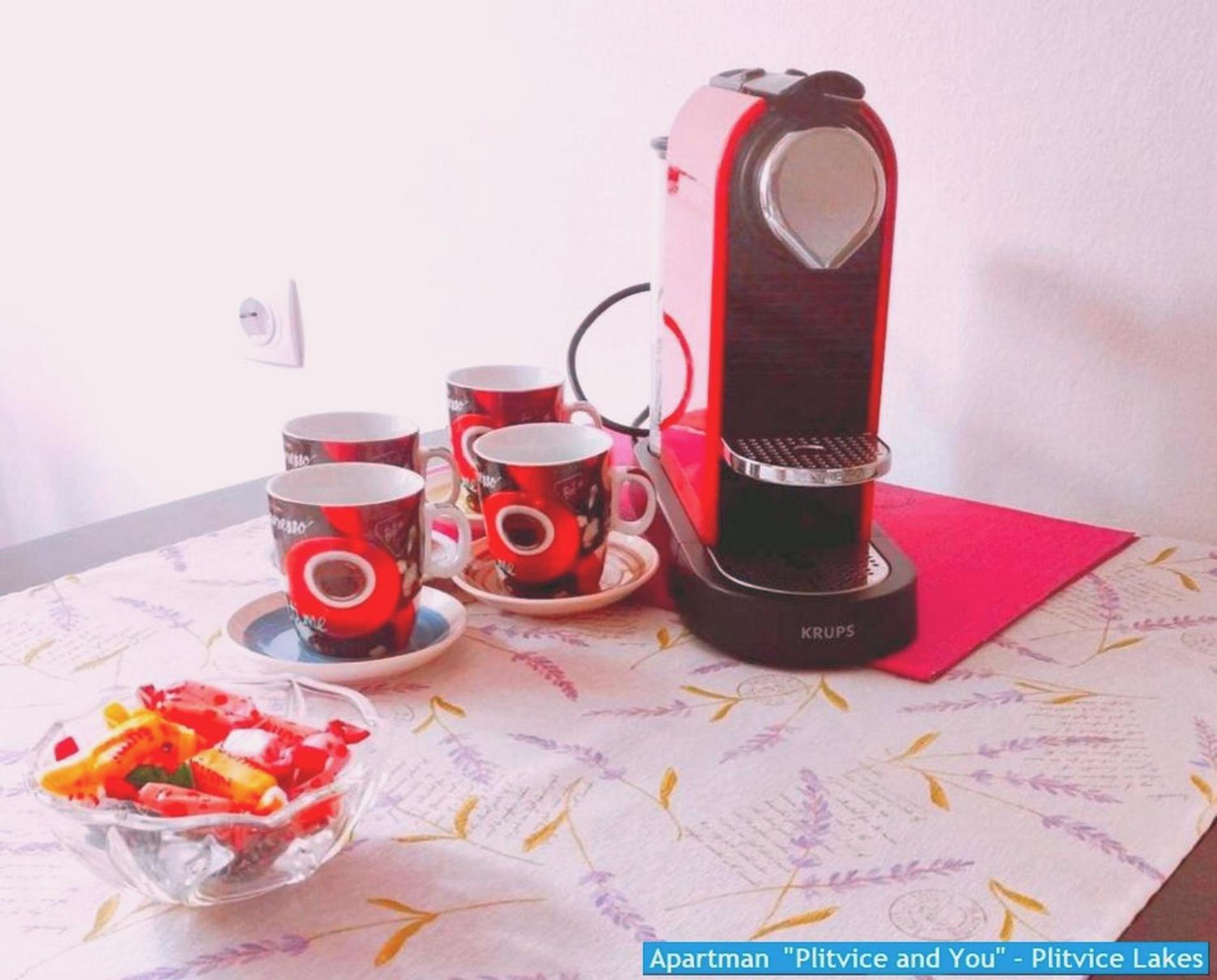Apartman "Plitvice And You" Plitvička Jezera Eksteriør bilde